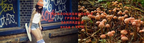 твердый Балабаново