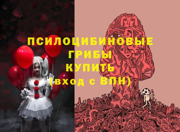 соль ск Сатка