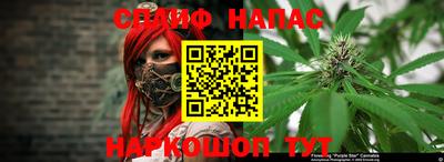 индика Бузулук