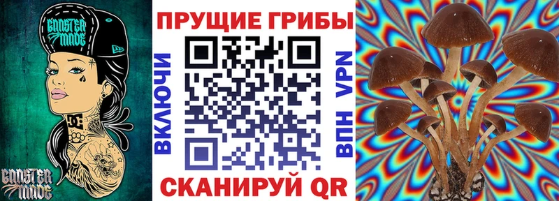Галлюциногенные грибы ЛСД  Гудермес 