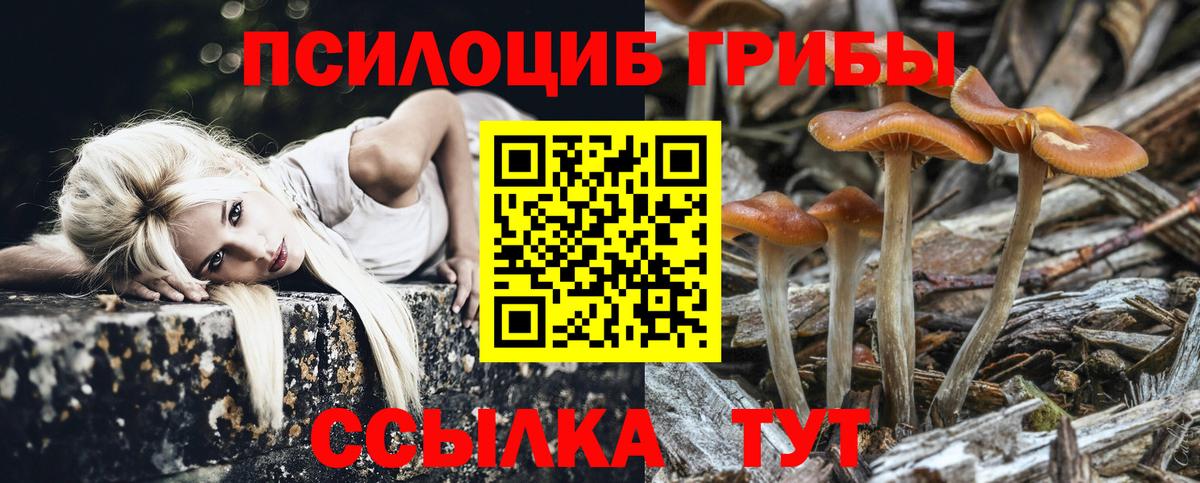 Псилоцибиновые грибы Cubensis  Псилоцибиновые грибы MAGIC MUSHROOMS  Гудермес  Вход с VPN 