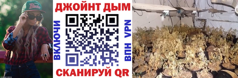 где купить наркотик Гудермес Шишки марихуана OG Kush